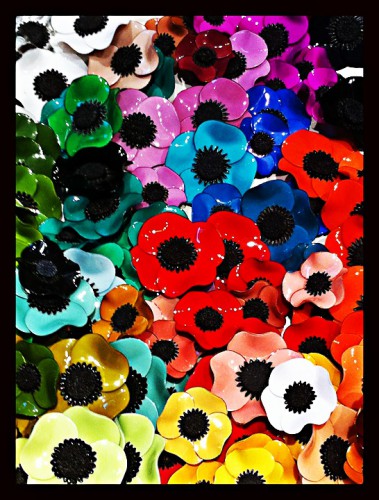photo 3h.JPG