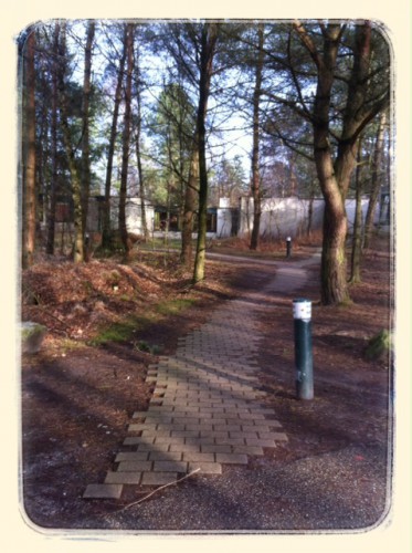 center parcs vossemeren