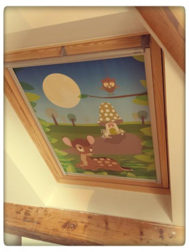 velux 3.jpg